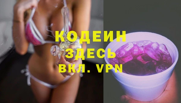 сатива Арсеньев