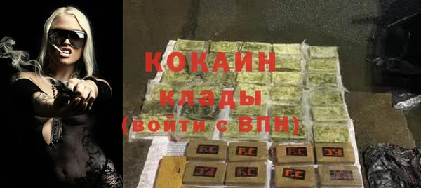 индика Армянск